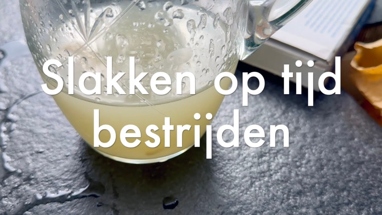 Ini's Moestuin #228 - Slakken op tijd bestrijden, tomaten opkweken, mulchen met wol, buiten zaaien.