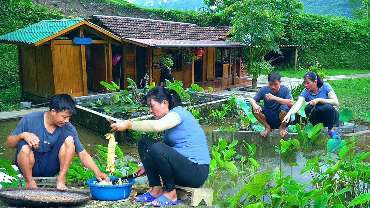 Together Harvesting jackfruit to feed snails.Diary of 2 years of happy living together in the forest