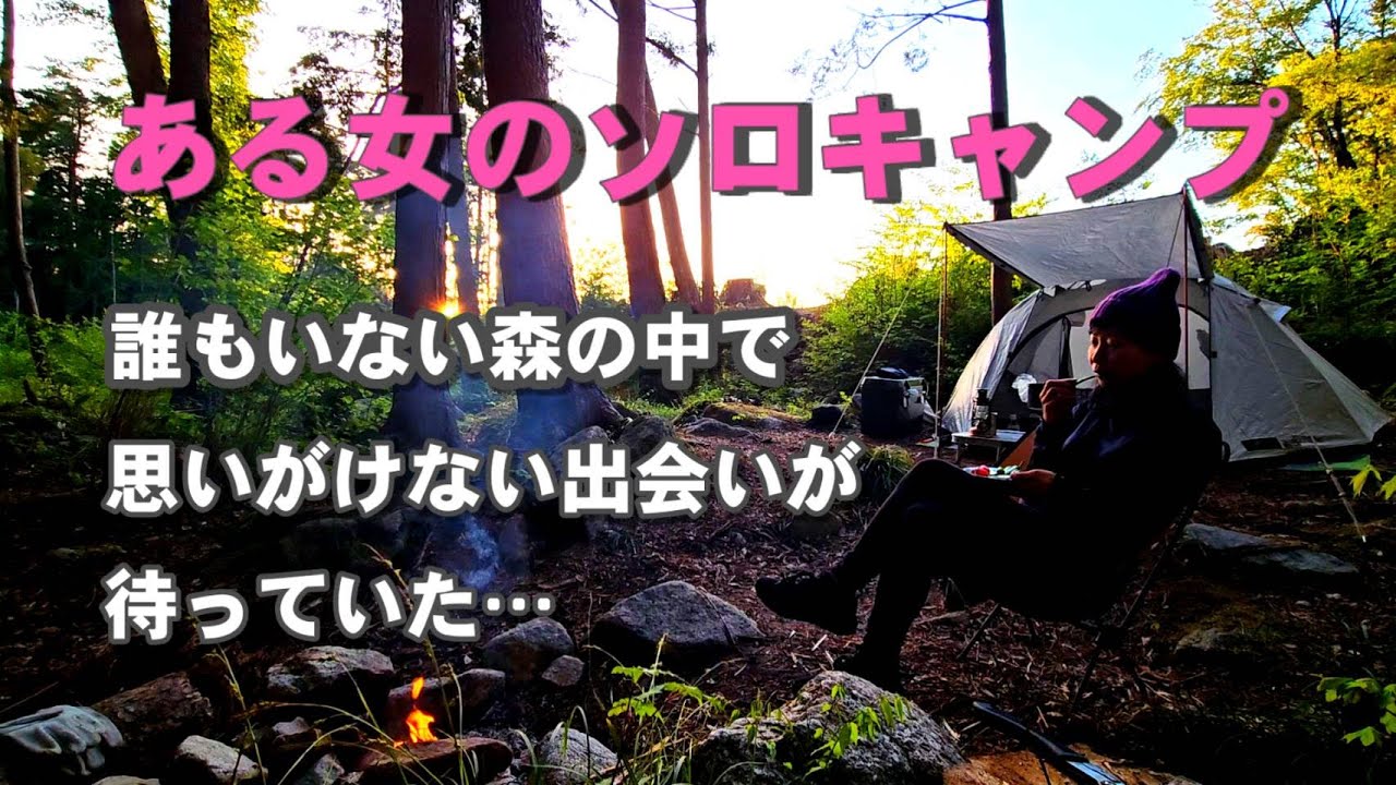【女子ソロキャンプで癒される】デジタルデトックスしたくて訪れた野営地で、思いがけない出会い