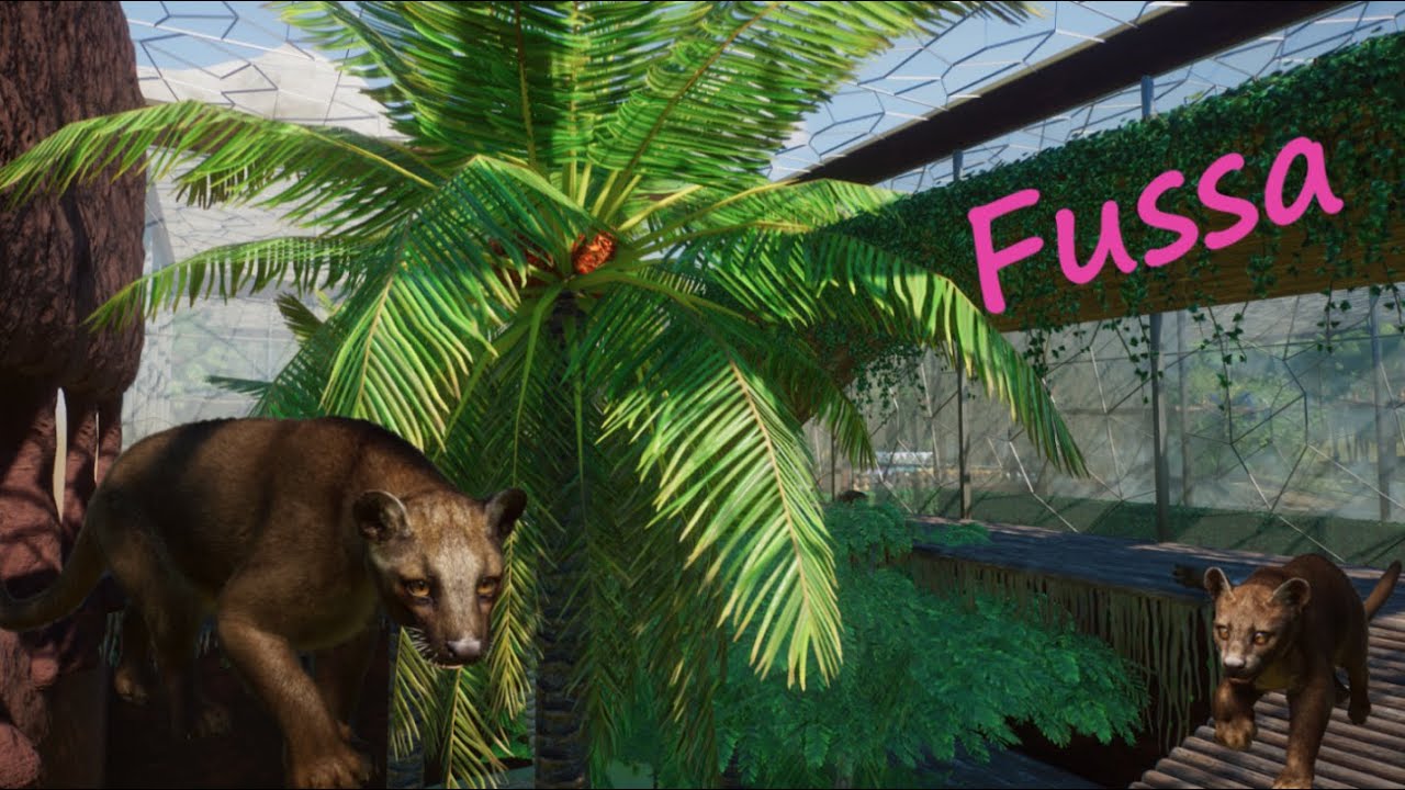 Fossa - PineHutZoo - Planet Zoo