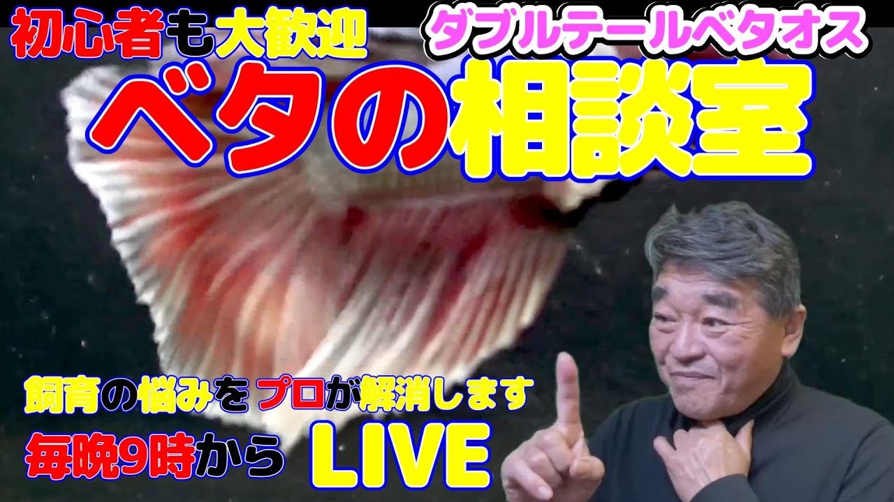 【創業40周年】ベタの何でも相談室　2026年1月28日