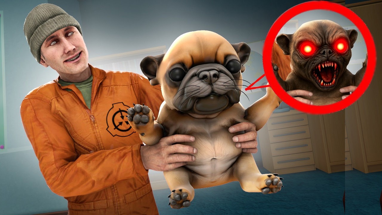ADOPTÉ un CACHORRO PIBBLE PERDIDO en GARRY'S MOD!