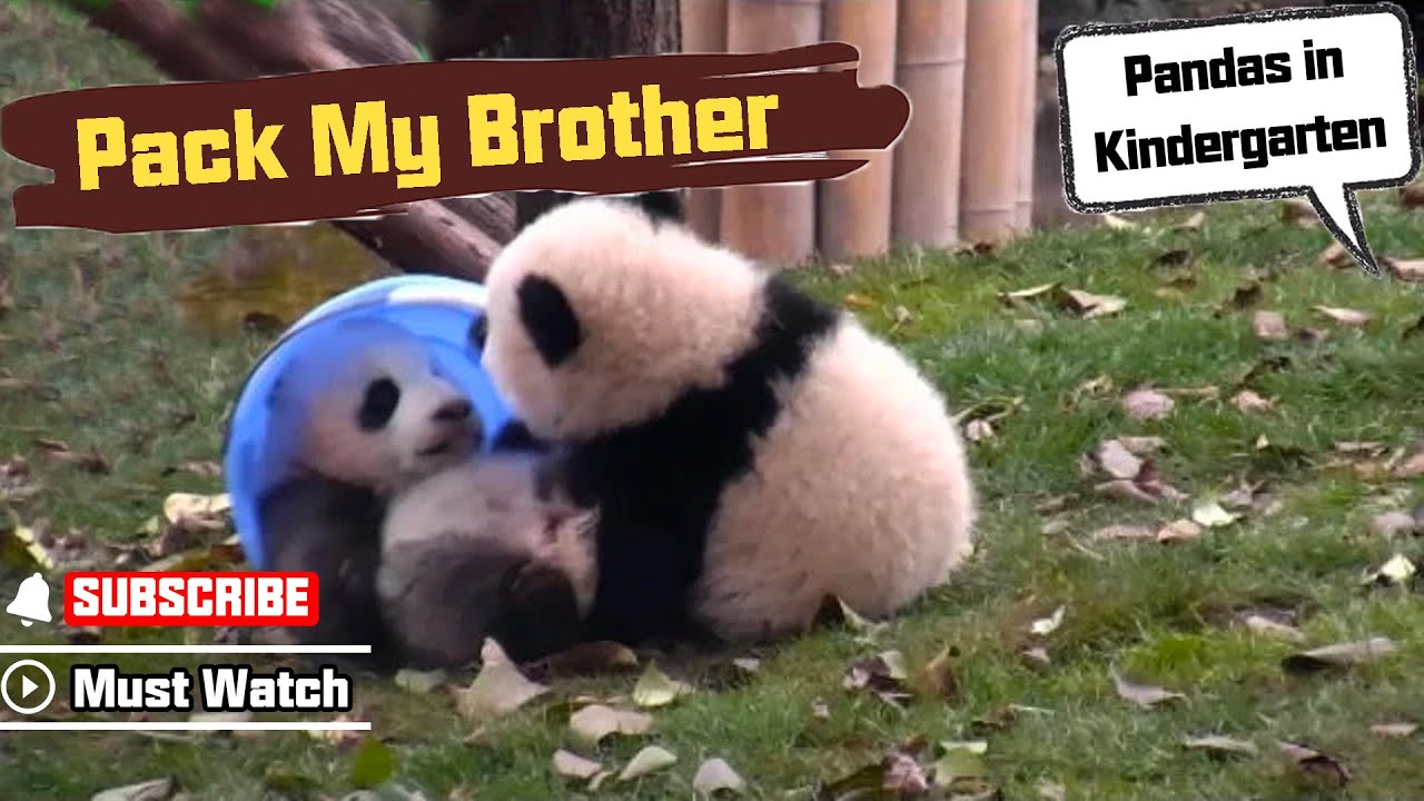 Naughty Panda 