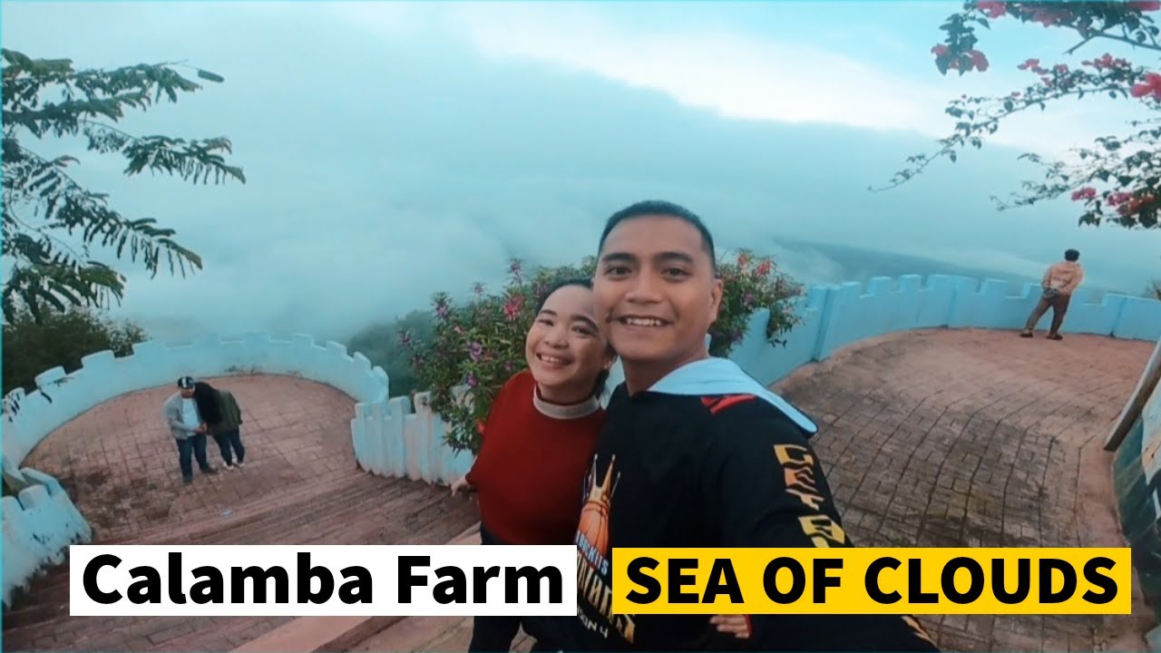 CALAMBA FARM SEA OF CLOUDS MARAGUSAN | AHYE TV