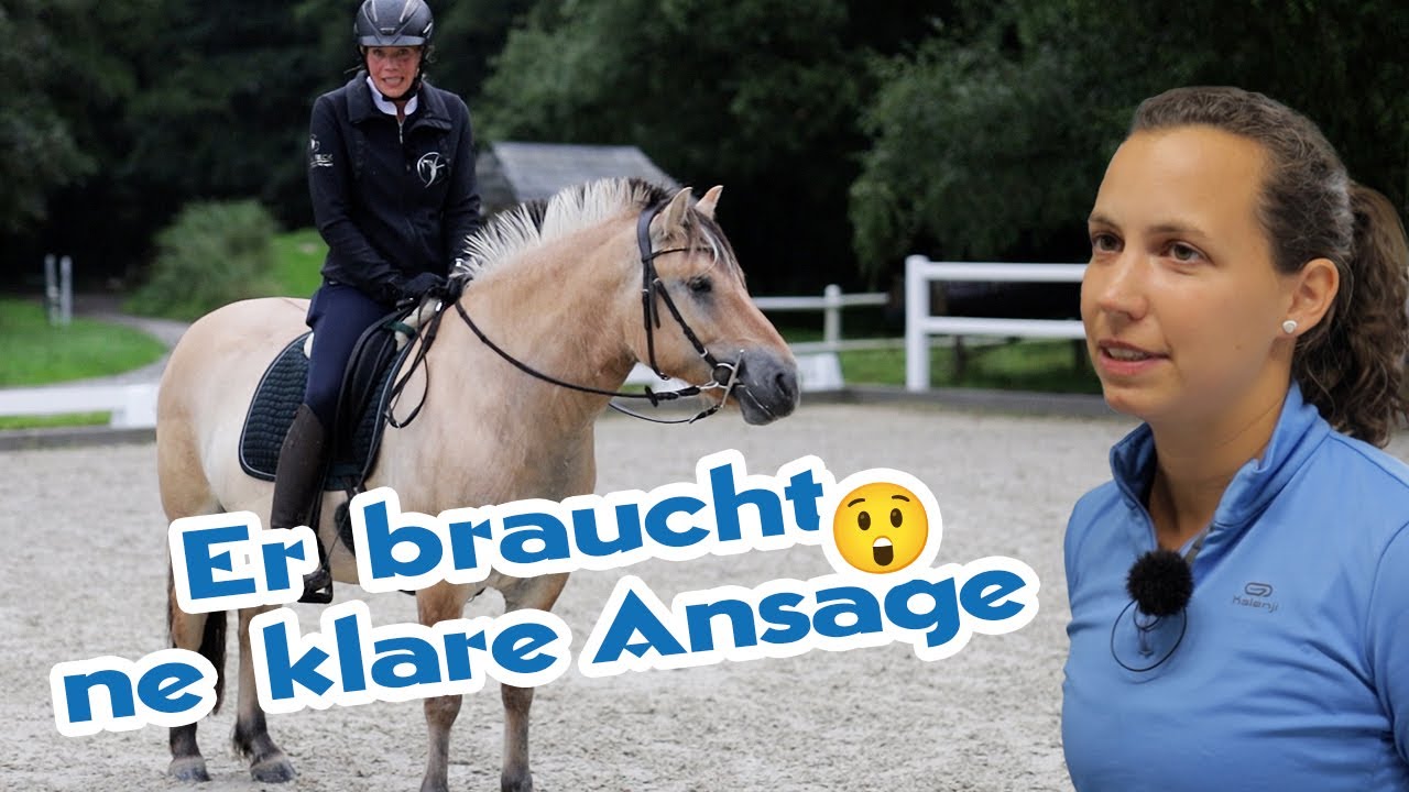 Verbeultes Fjordpferd galoppiert nicht &ndash; Ariane zeigt ihm wo's lang geht | Korrekturreiten