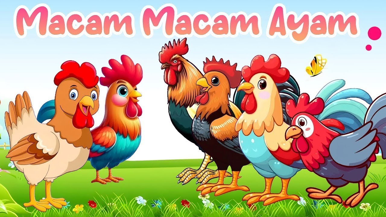 Lagu Anak Anak - Macam Macam Ayam - Lagu Anak Indonesia Populer Dan Viral Sepanjang Masa ❤