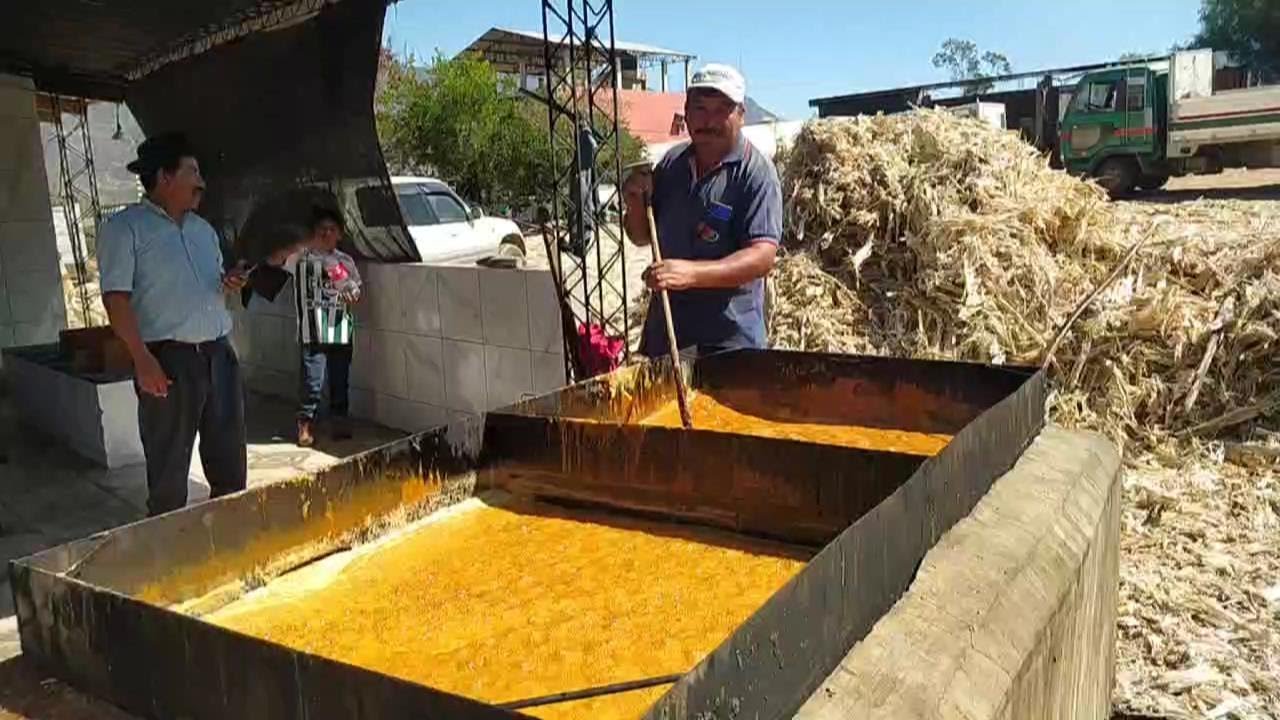 PRODUCCION DE CHANCACA - MUNICIPIO DE SAIPINA