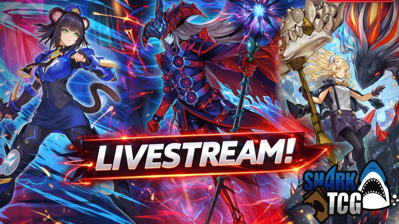 ¿CÓMO SE VEN LOS NUEVOS DECKS? REGIO GDL 15/MARZO || ¡Sólo en SharkTCG! 🦈🦈🦈