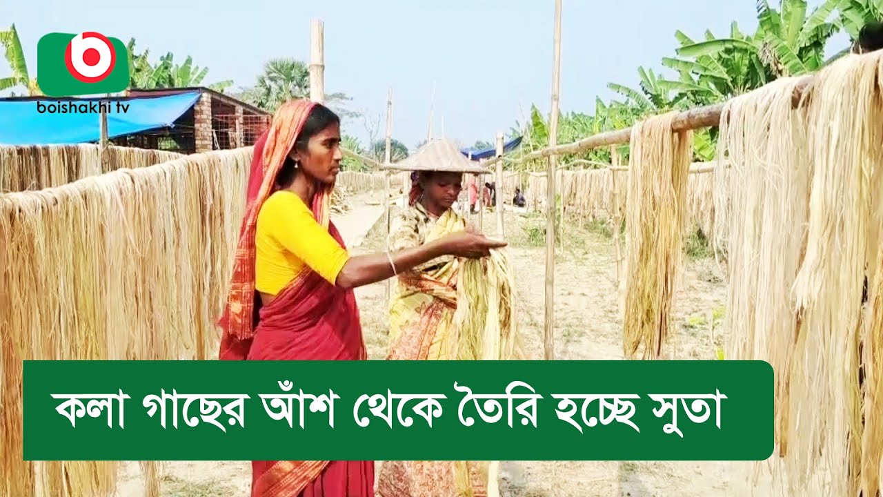 কলা গাছের আঁশ থেকে তৈরি হচ্ছে সুতা