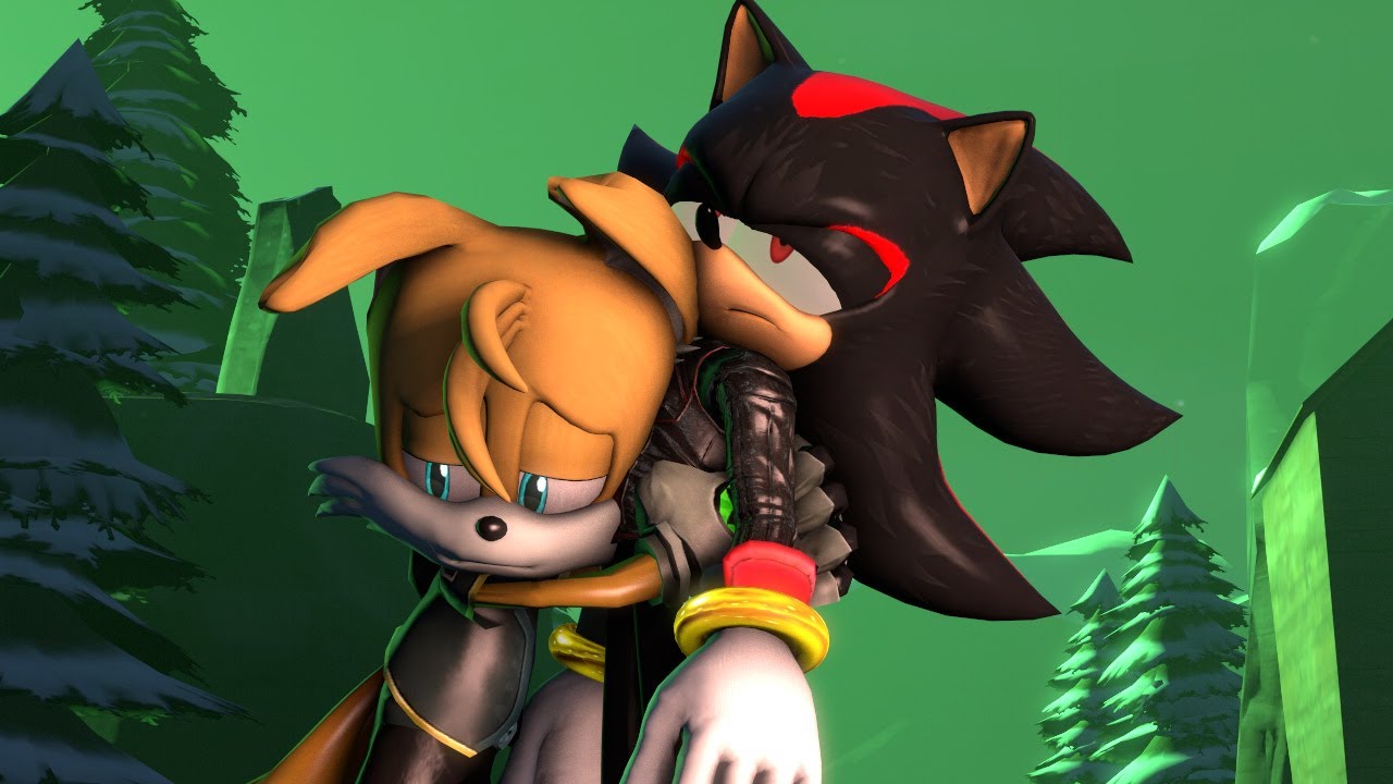 Nine Tails hugs Shadow The Hedgehog