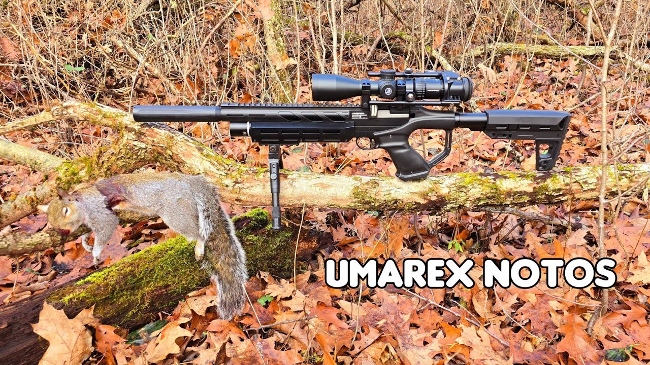 Squirrel Hunt With the Umarex Notos || Can it Squirrel?