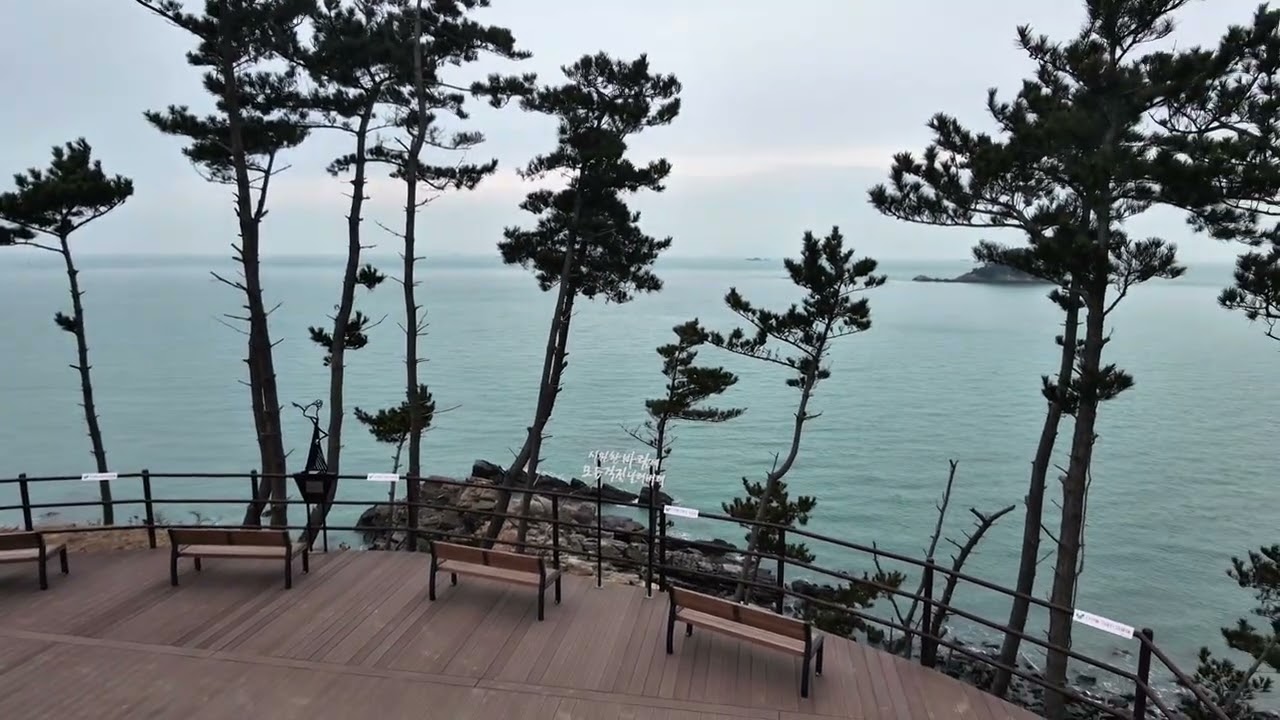 드론으로 본 학암포 20260301
