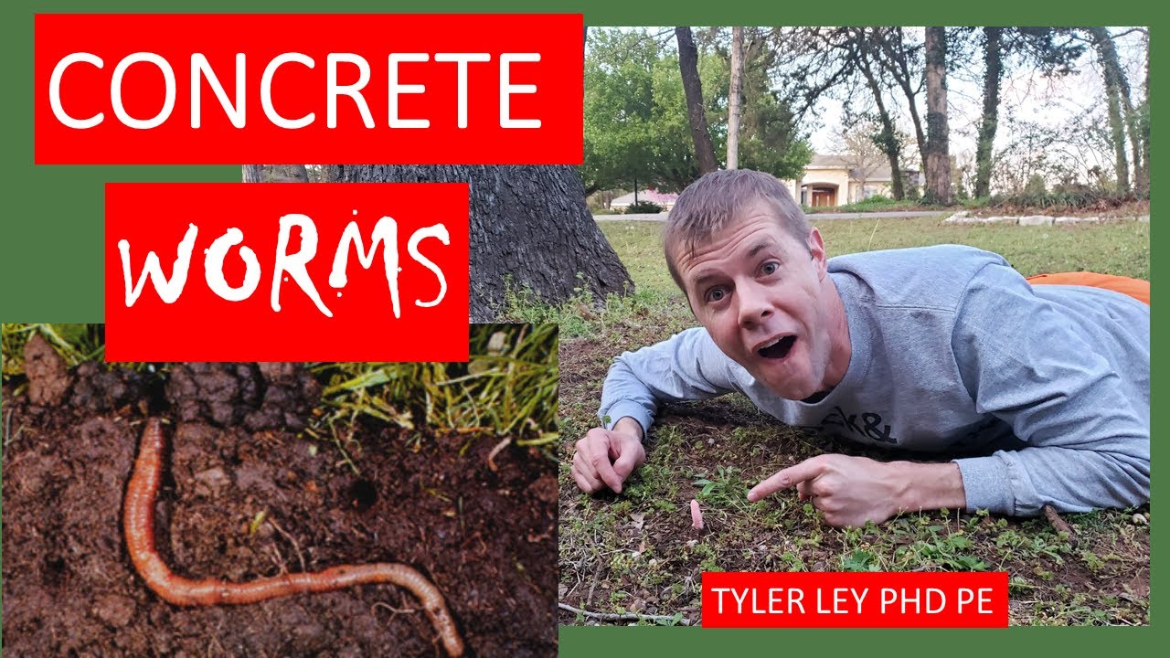 Concrete and Worms! An introduction to concrete development length
