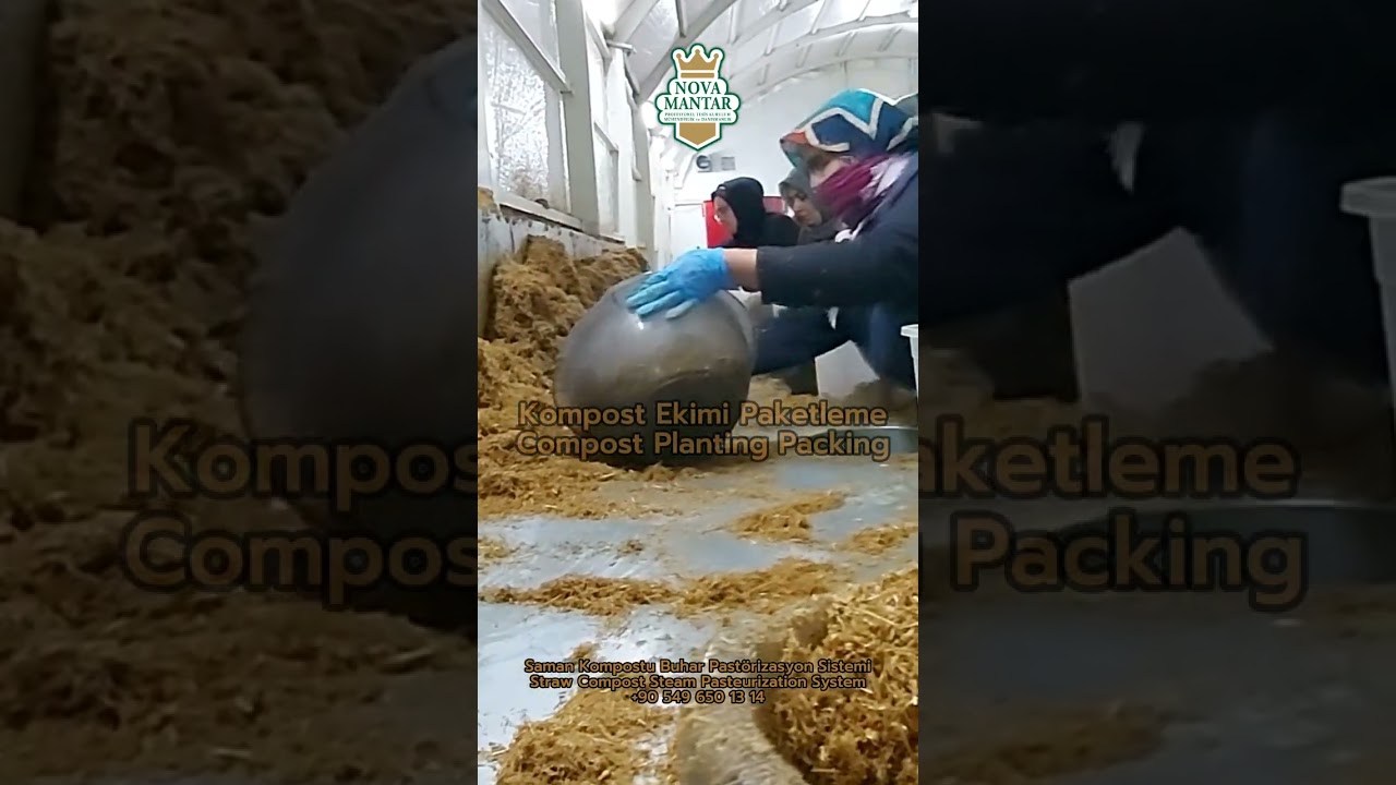 İSTİRİDYE MANTARI PASTÖRİZASYON SİSTEMLERİ 0549 650 13 14