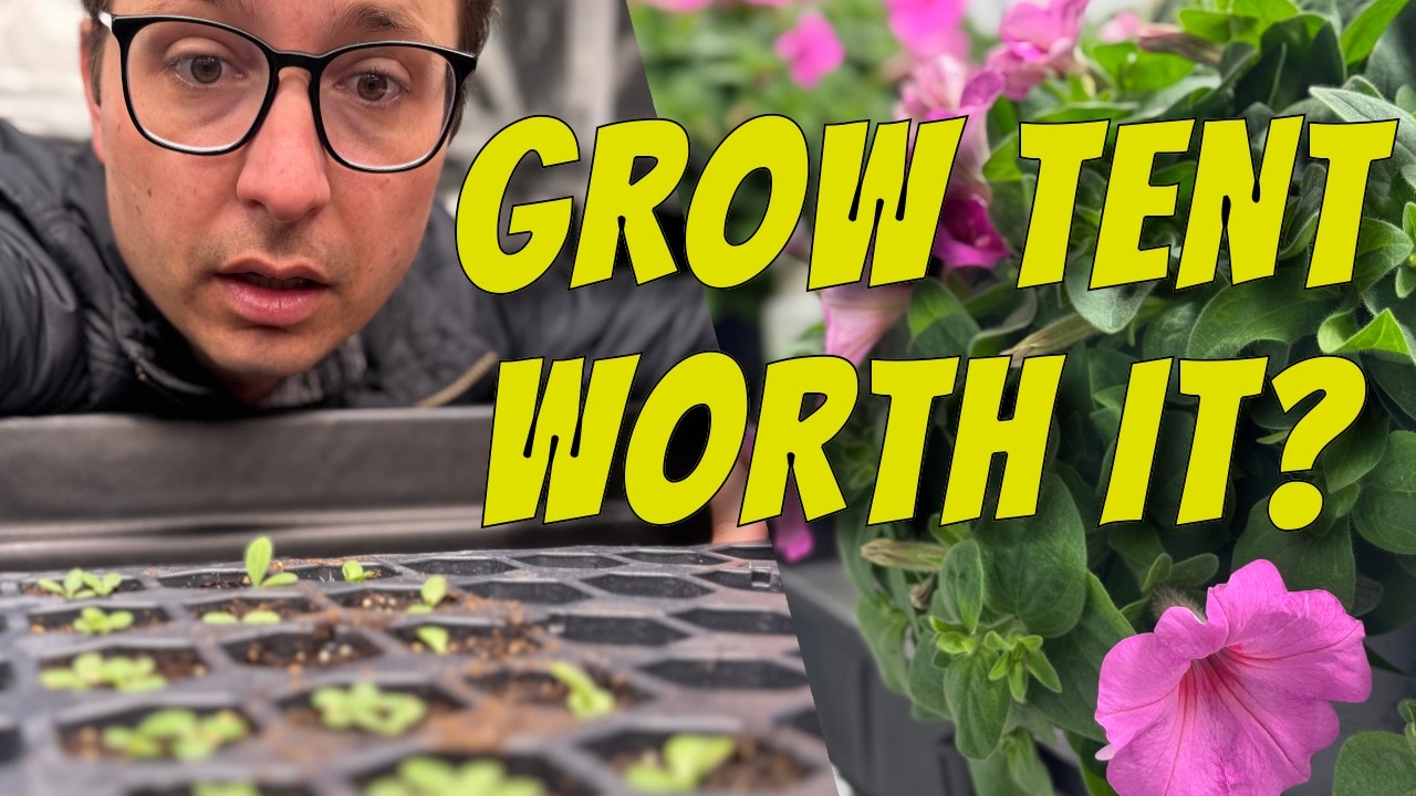 PROS and CONS of a Grow Tent: Do You Need One?