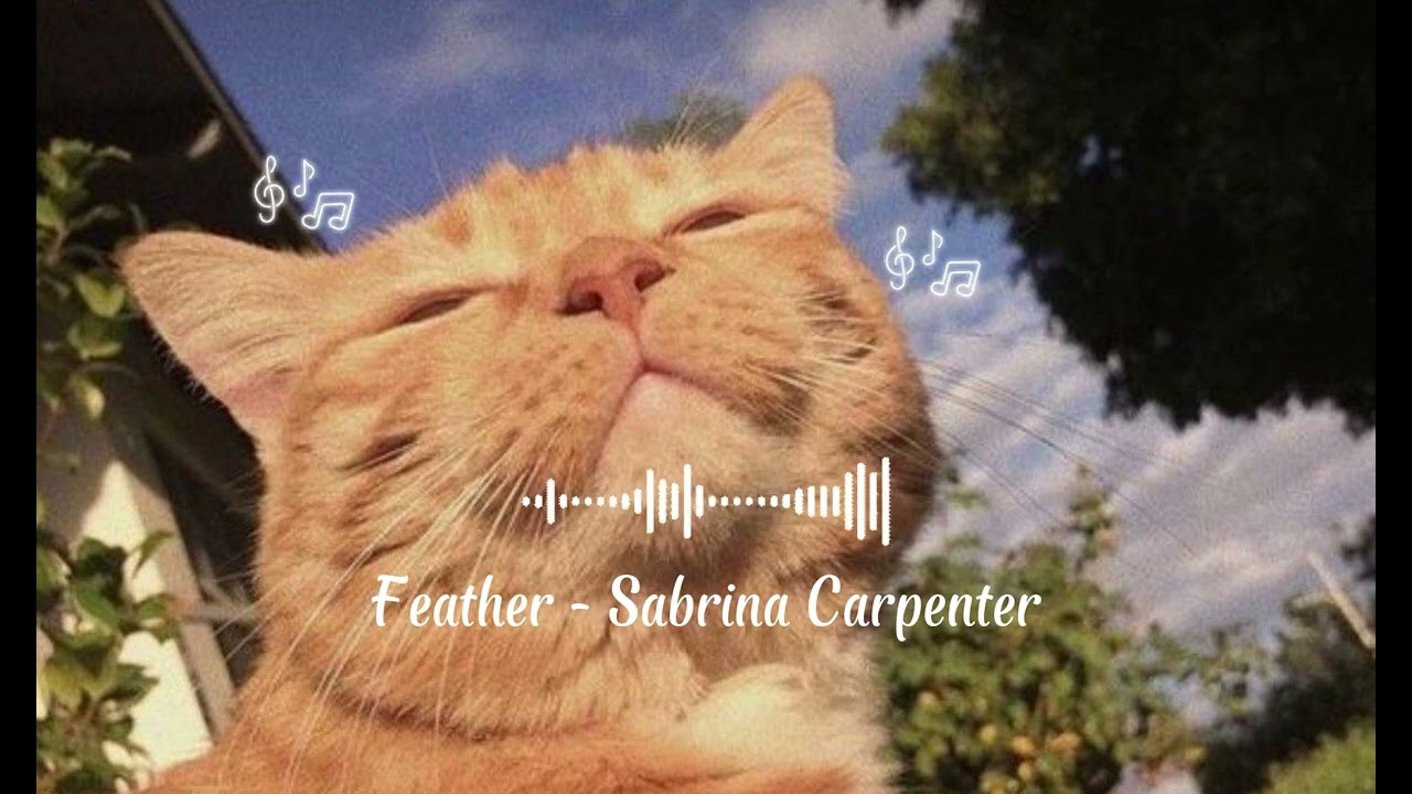 Kumpulan lagu anti galau/moodbooster (anti-galau/mood-boosting song collection)