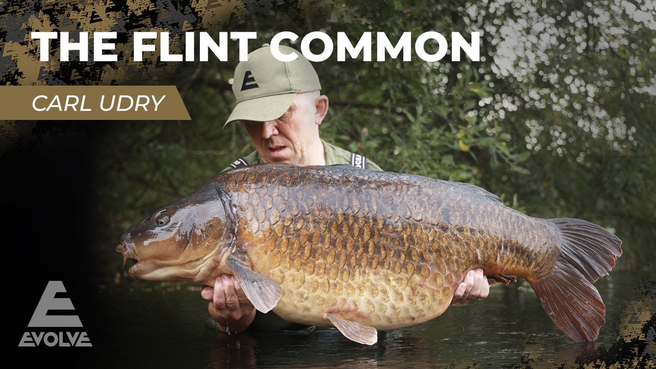 The Flint Common - Follow Carl Udry's big carp quest on RDAA Farnham Flint
