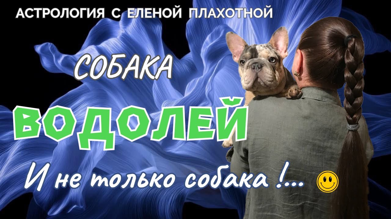 Собака Водолей♒| (И не только собака!...😃)|