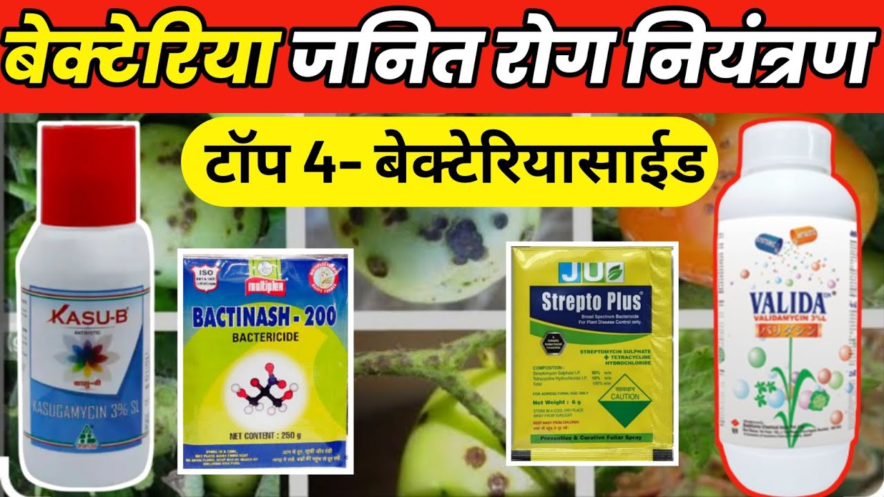 बैक्टेरिया जनित रोग नियंत्रण||Top 4 Bacteriacaide ||Kasu-B | Velidamachine || Plantomaicin