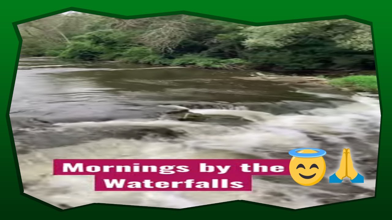Mornings by the Waterfalls #shorts #shortsfeed #ASMR #naturelovers #waterfallsounds #relaxationvideo