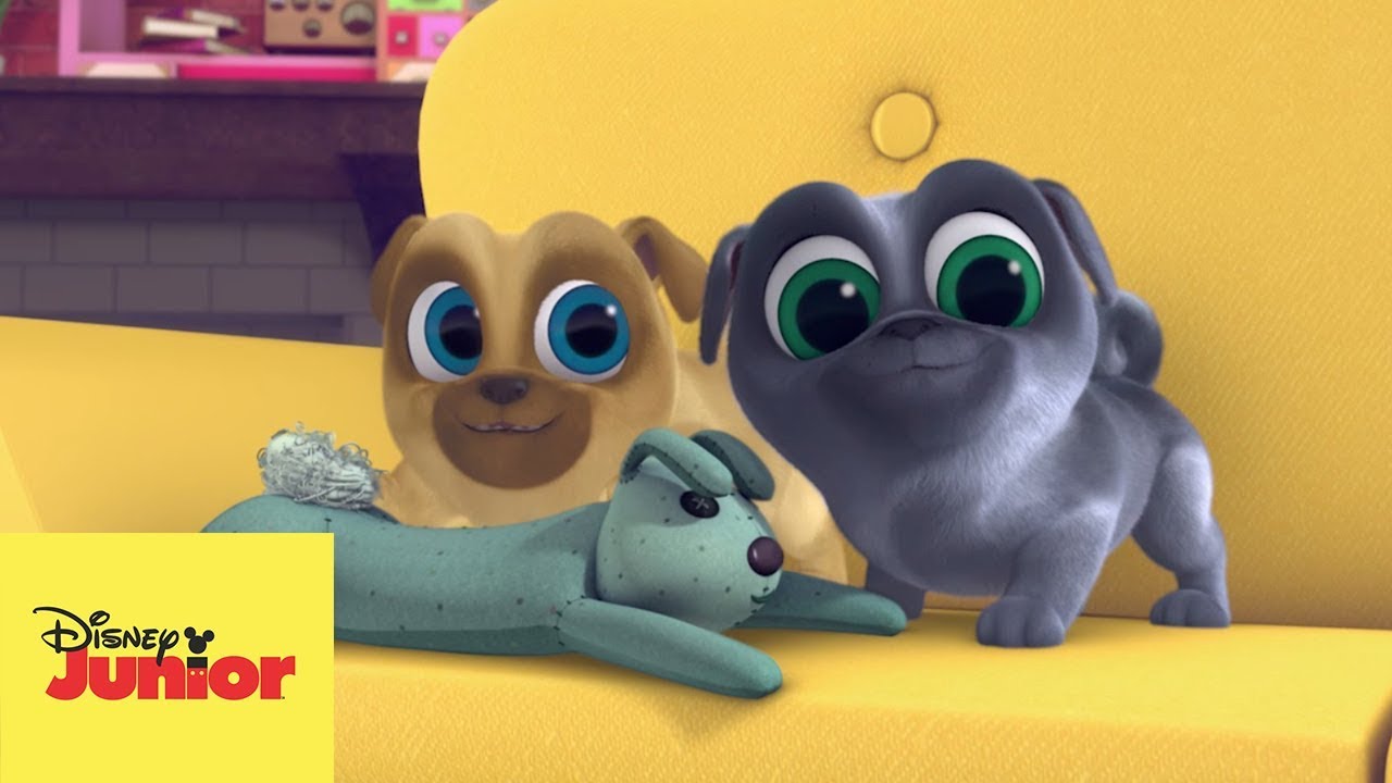 🎶 La Canción de Puppy Dog Pals con Perritos Reales