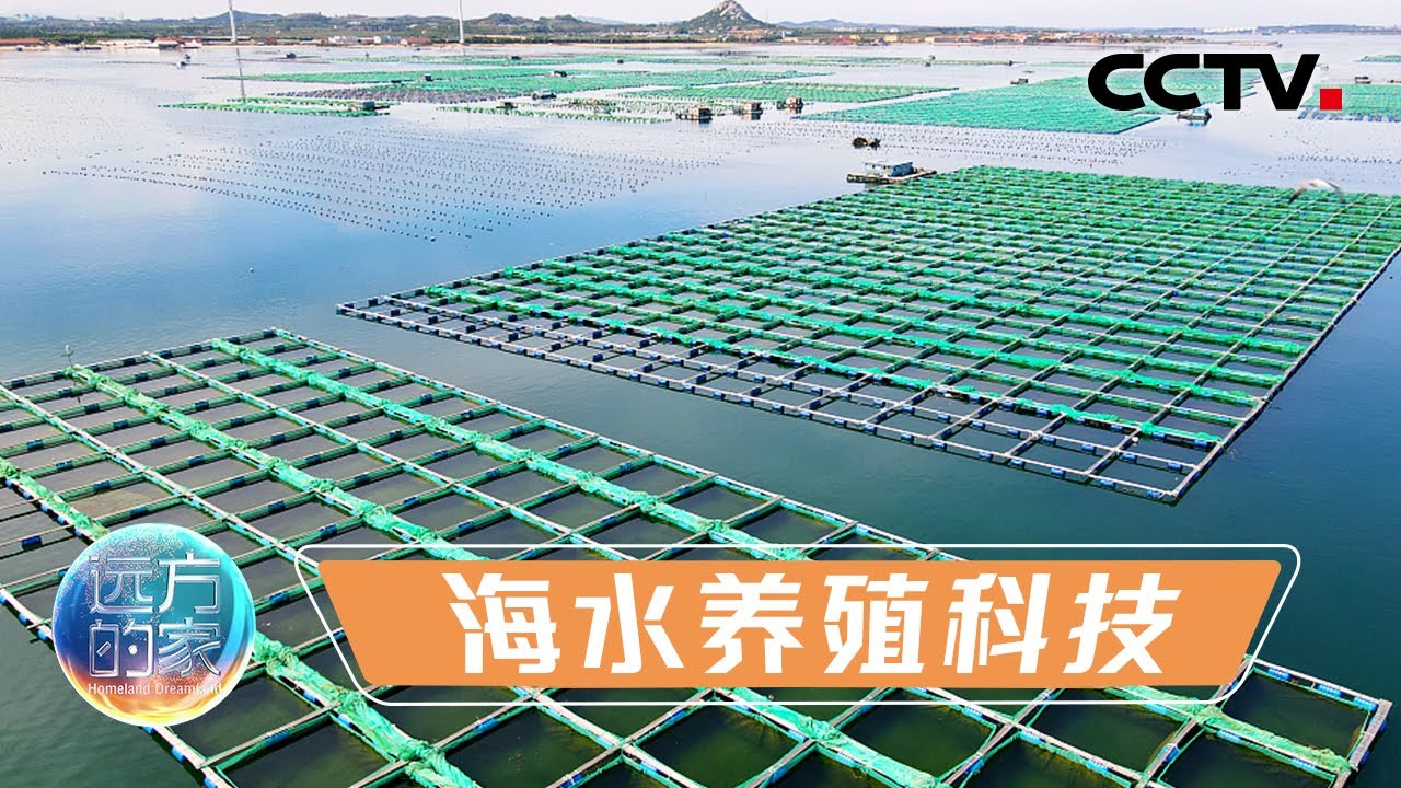 5000多万头鲍鱼为啥从山东南下福建越冬？“南鱼北养”攀登海水养殖科技的新高度！20211209 |《远方的家》CCTV中文国际