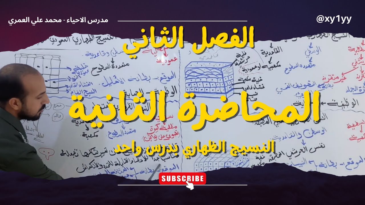 الفصل الثاني - المحاضرة الثانية - النسيج الظهاري بدرس واحد