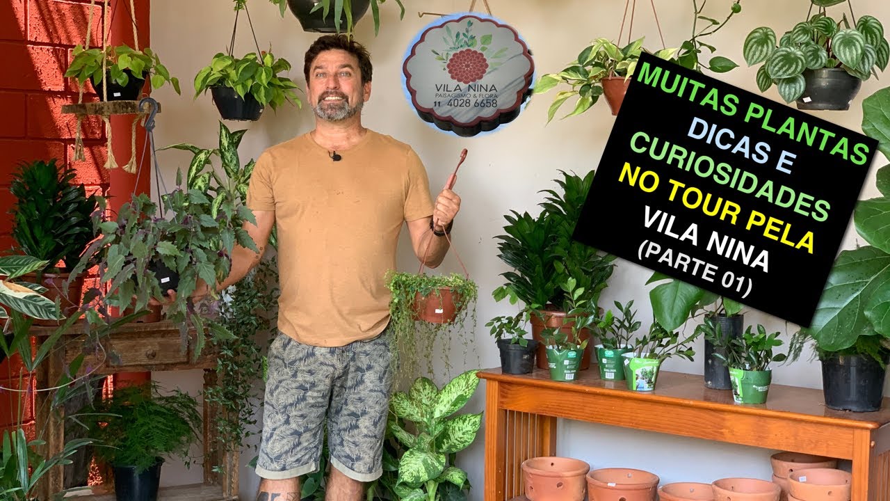 Muitas Plantas, Dicas e Curiosidades no Tour Pela Vila Nina - Parte 01