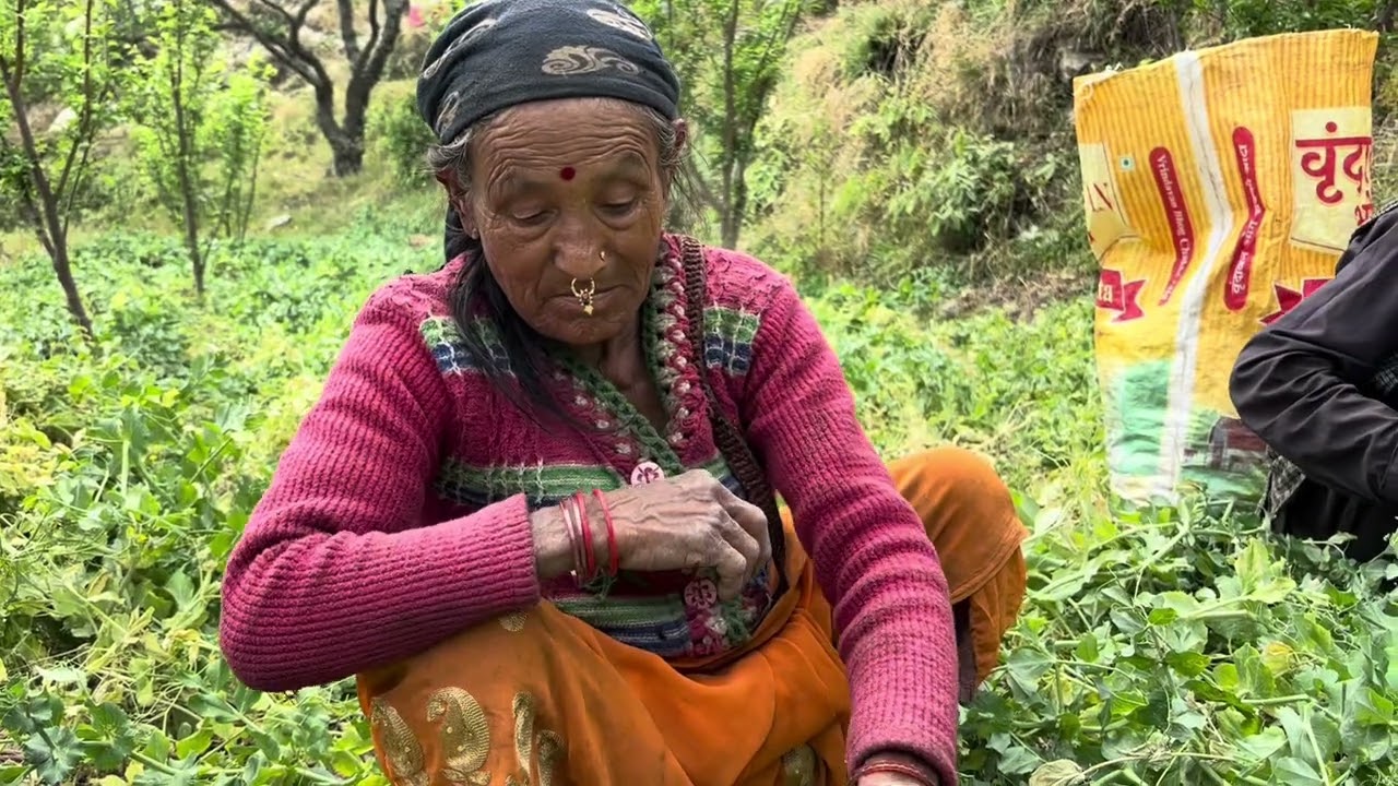 Dhara: Life beyond map