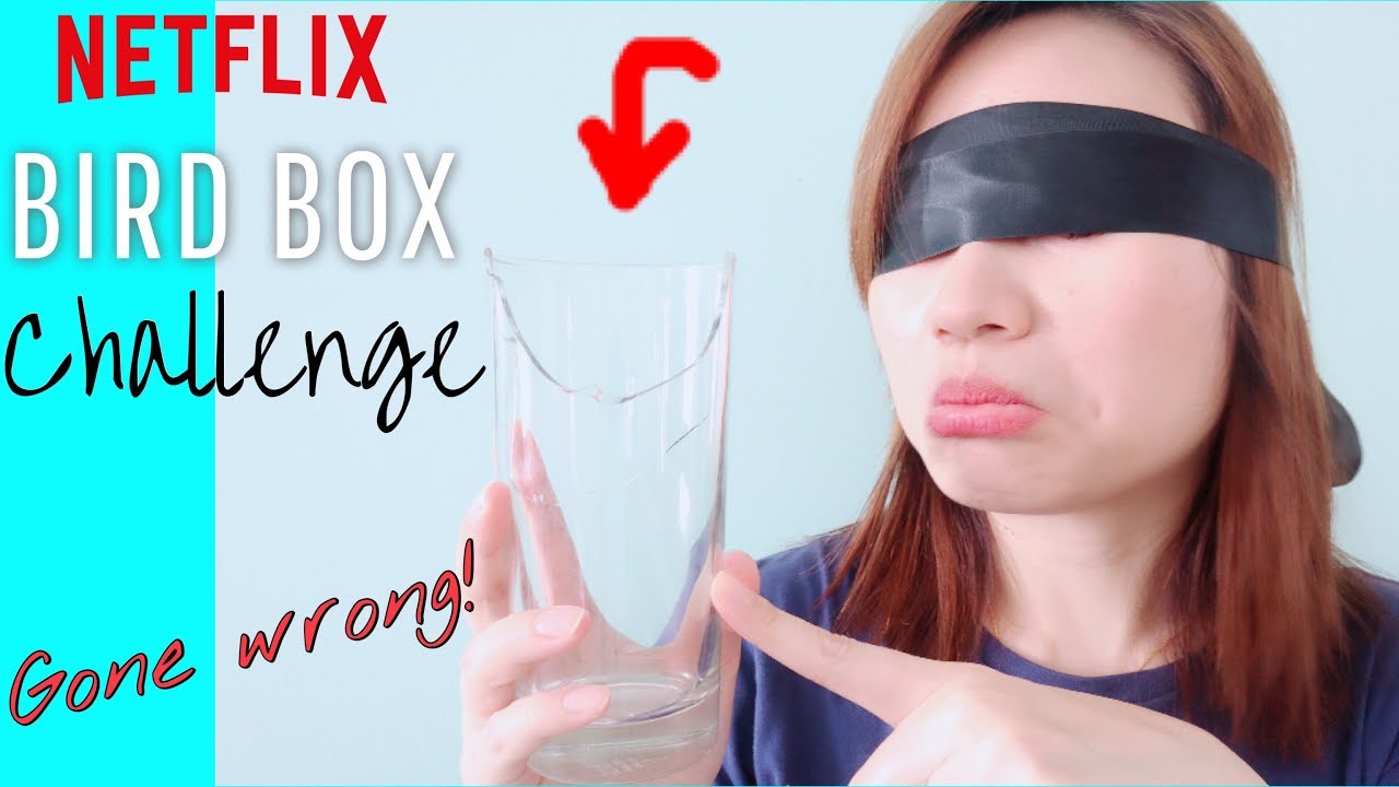 BIRD BOX CHALLENGE | REPLYING MESSAGE BLINDFOLDED | A CHALLENGE GONE WRONG