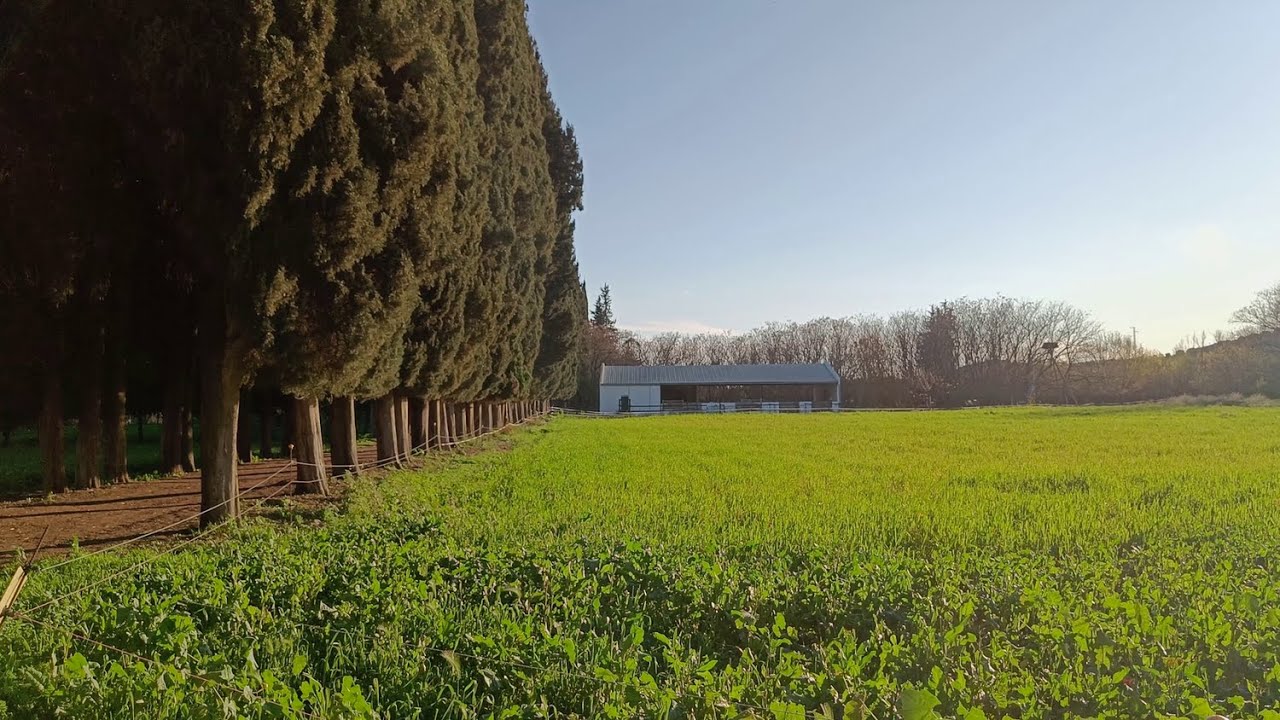 3º y 4º de EPO en la Granja Escuela Buenavista 2025