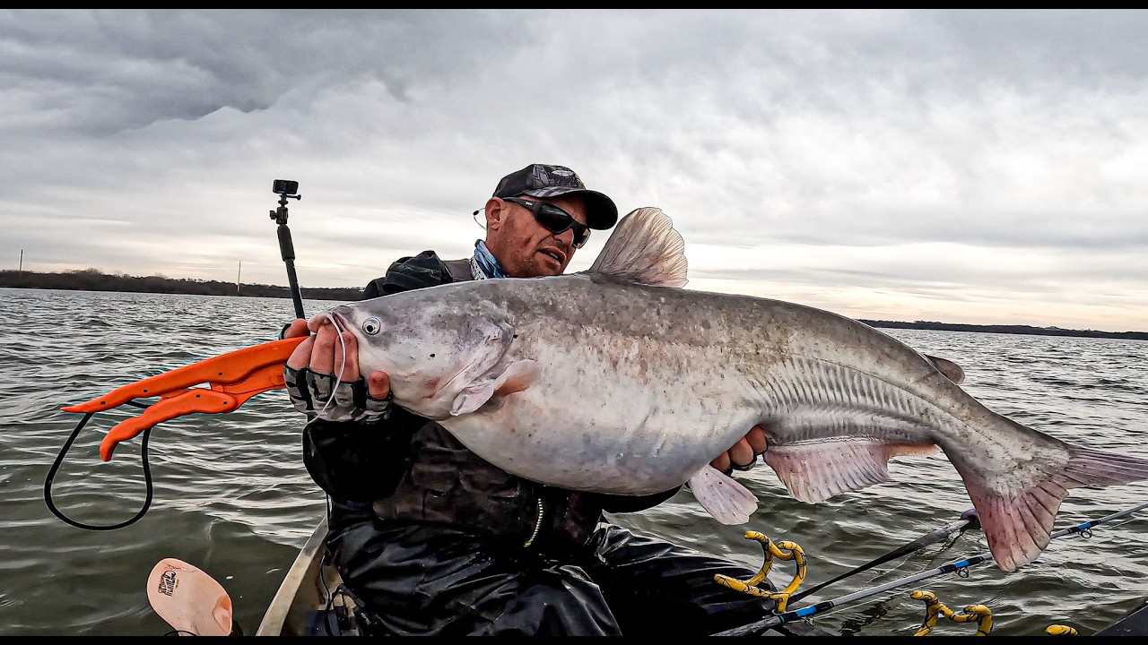 Lavon Kayak Bluecat Smackdown!