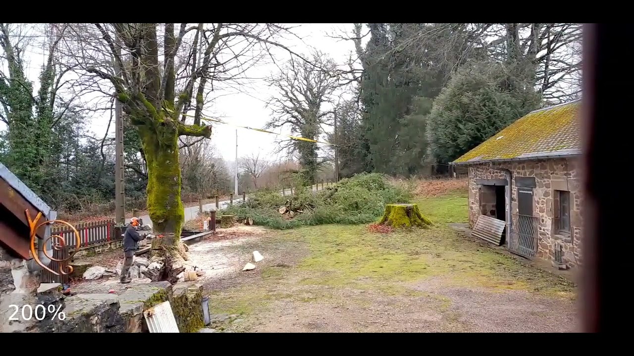 Tree Surgery & Tree Felling covering all of France.