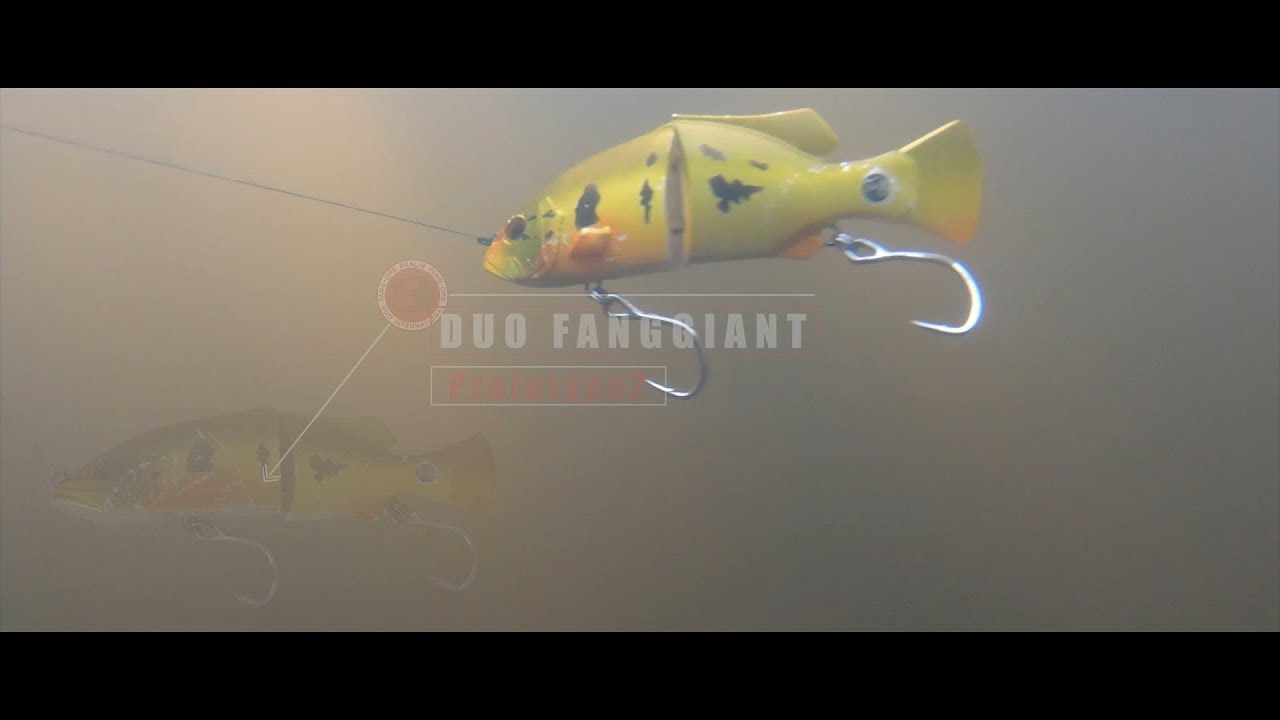 Big Baits in the Jungle pt 2: FangGiant