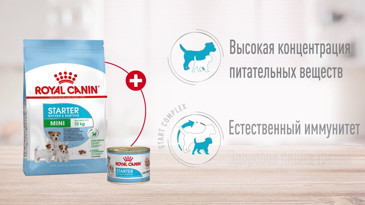 Royal Canin Mother & BabyDog