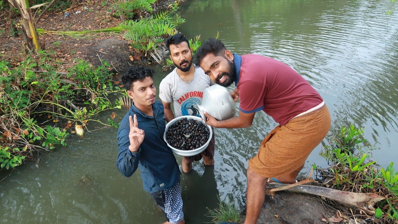 കക്ക വെള്ളത്തിൽ മുങ്ങി വാരി പുഴുങ്ങി വറുത്തത് | Clam Meat Fry | Special Kakka erachi Fry