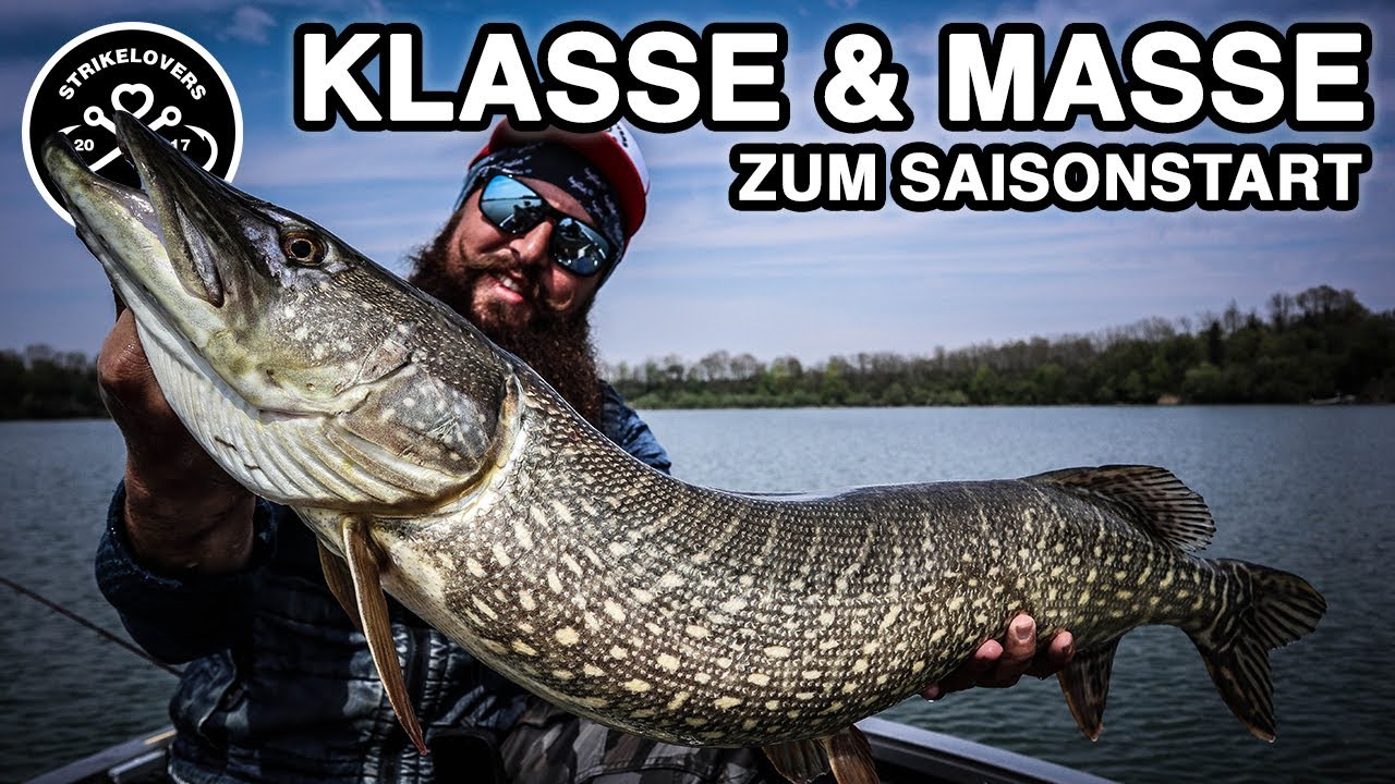 Aggressive FLUSSHECHTE 🎣❤️ auf Gummifisch und Jerkbait
