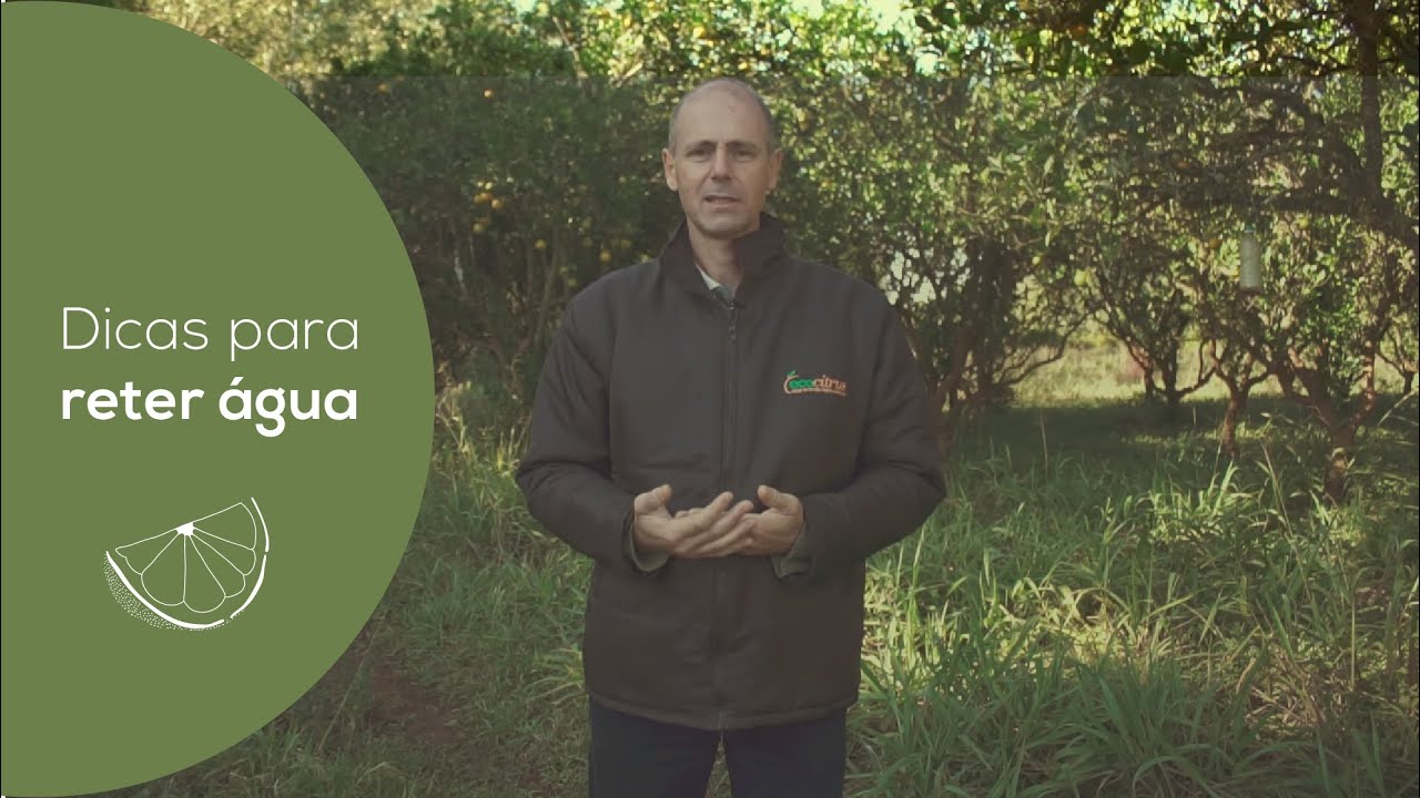 DICAS PARA RETER ÁGUA NA PROPRIEDADE | ECOCITRUS
