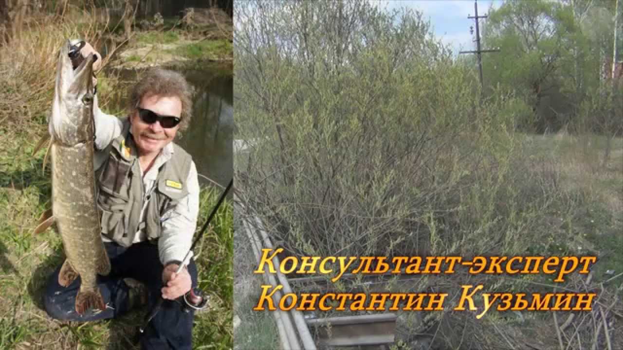 Константин Кузьмин. Полевая микроречка.