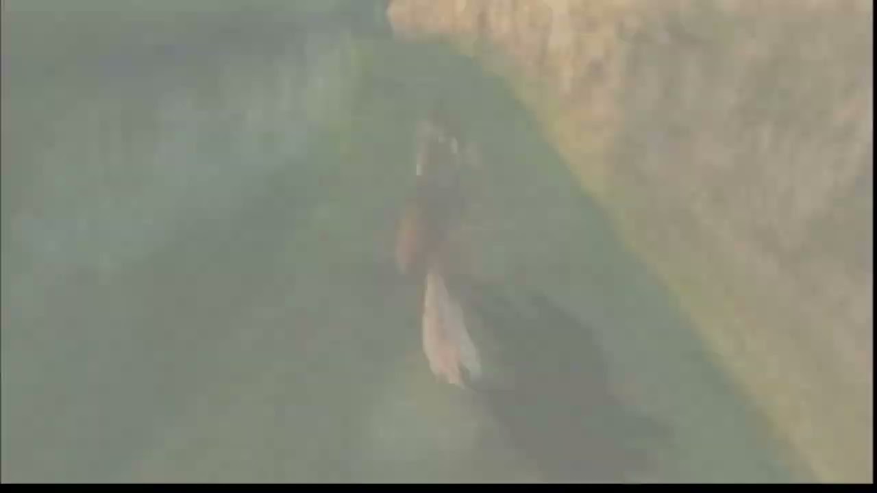 The legend of zelda twilight princess S WII #01 le commencement