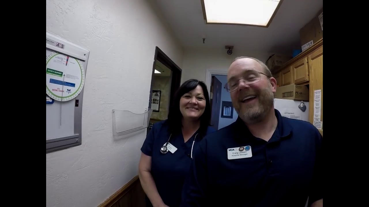 Veterinary Dental Care