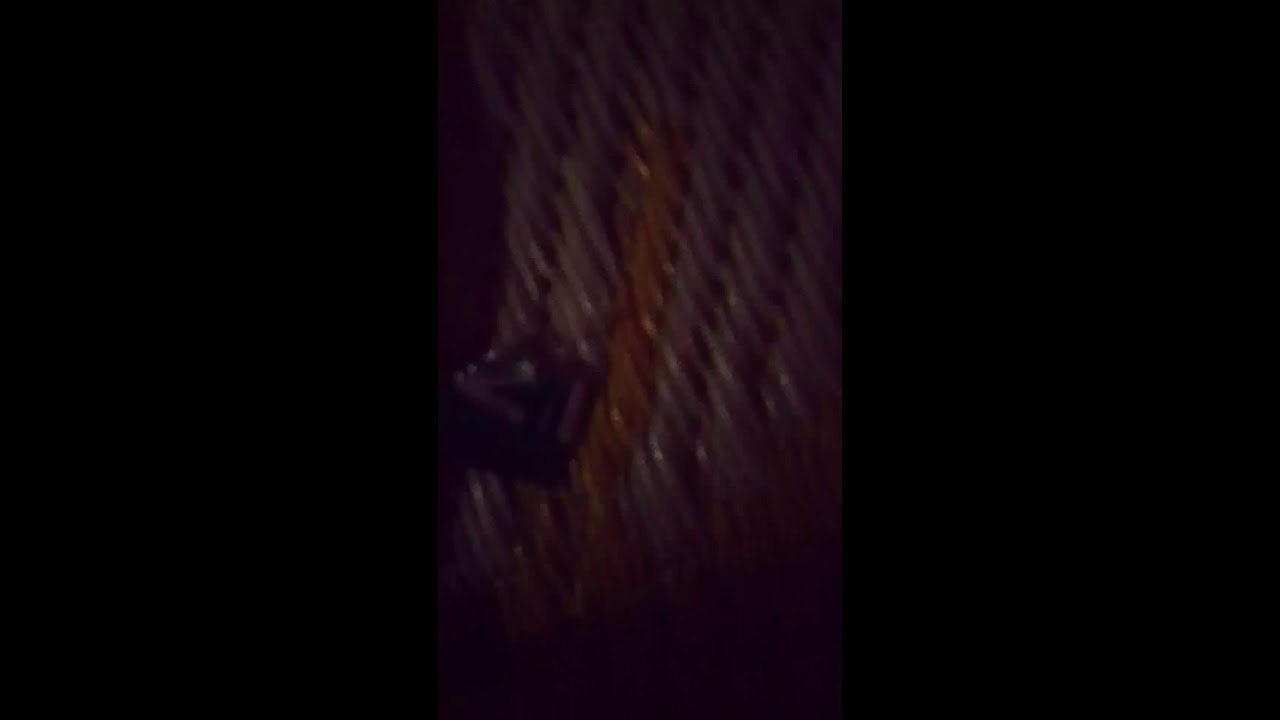 بدأت قناة 