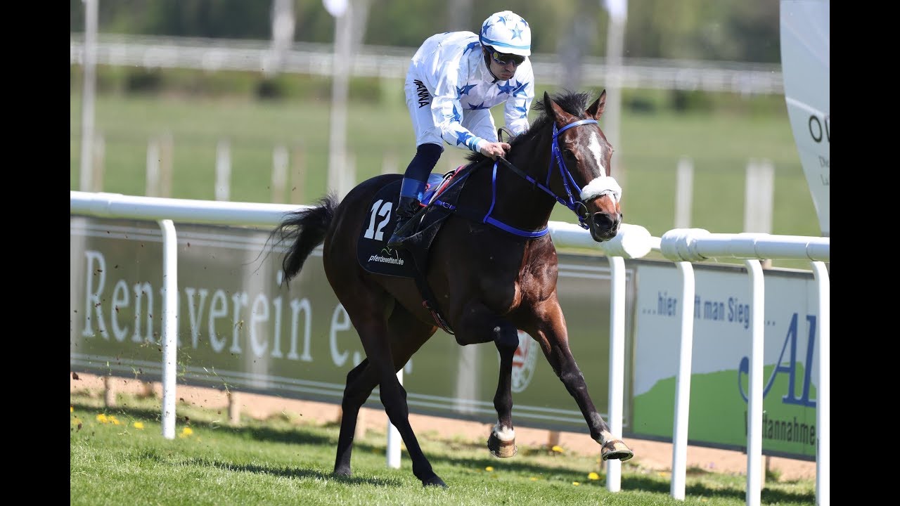 Hannover: Gro&szlig;er Preis der Cup der Privatbank ODDO BHF 2019(L) - Sieger: Dantos