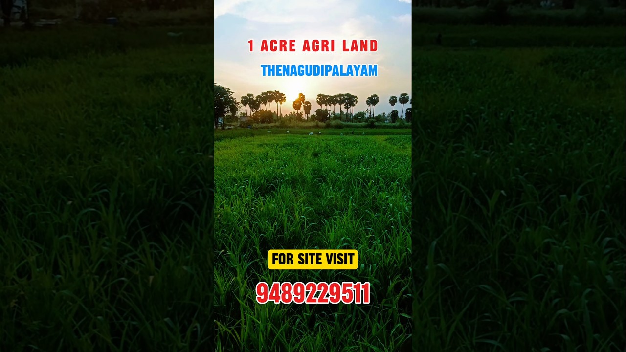 1 Acre #agrilandforsale near #attur #salem #realestate #tamilnadurealestate #investing #farmlife