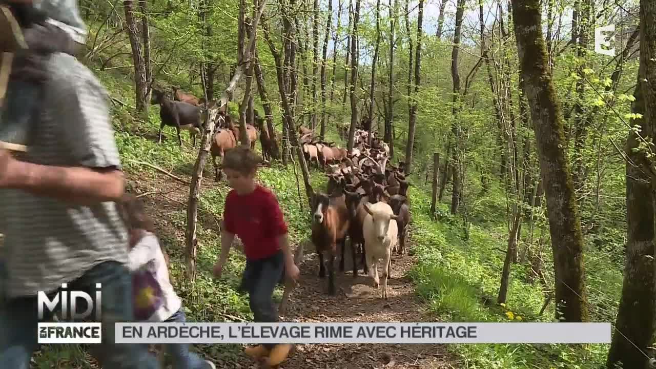 ANIMAUX : En Ardèche, l'élevage rime avec héritage