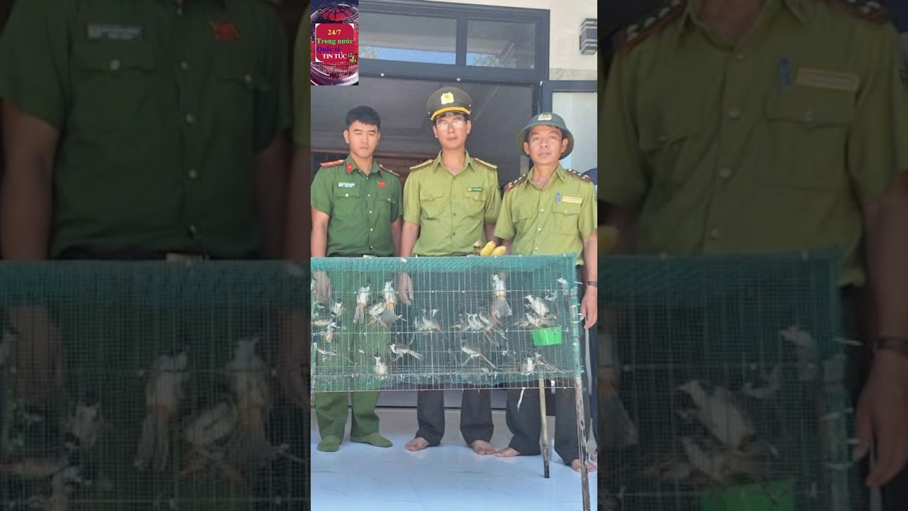 Hue: Caught red-handed illegally buying and selling 40 starlings #news #news #news24h