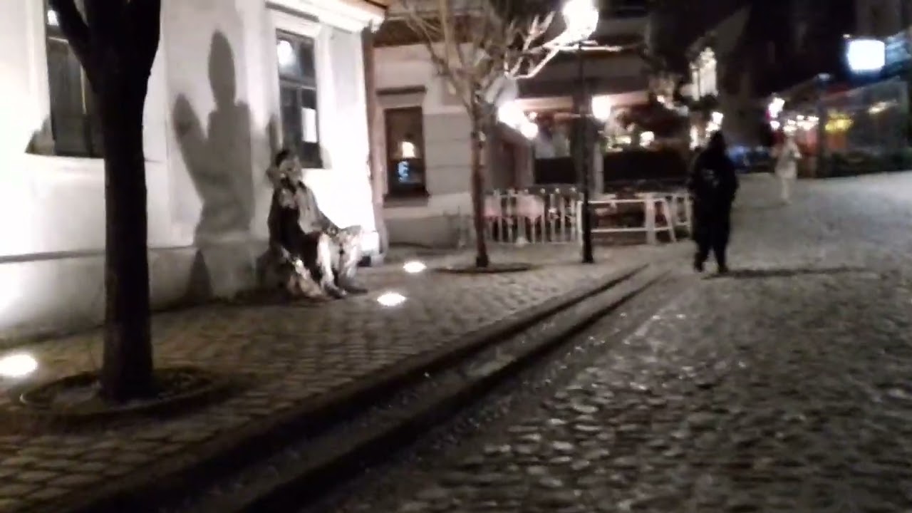 Skadarlija veče 9 februar