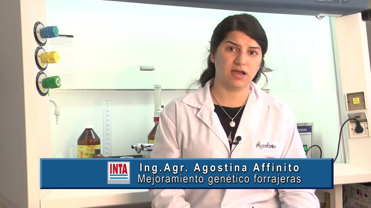 Tolerancia a la salinidad de Lotus Tenuis - Agustina Affinito - INTA Pergamino