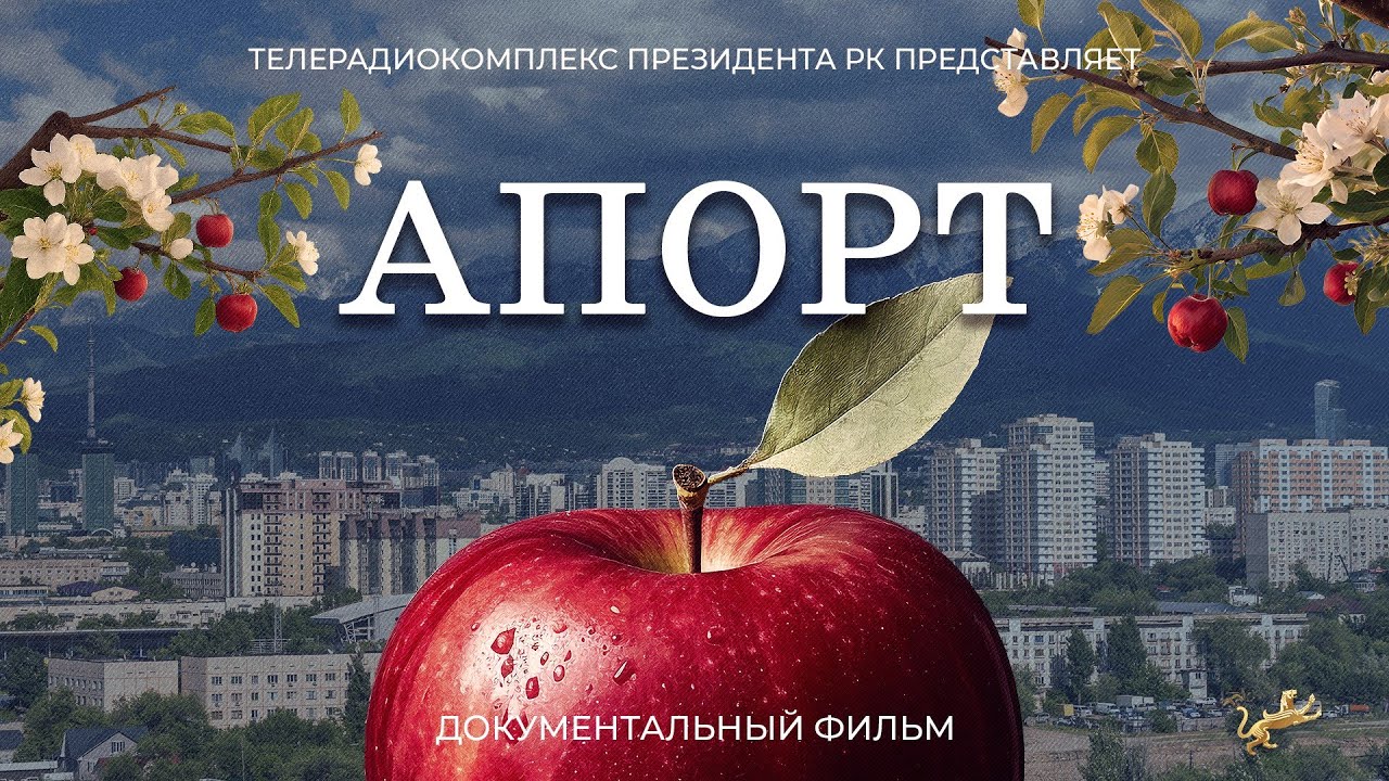 «Апорт» — документальный фильм: как легендарное яблоко снова стало гордостью Алматы и Казахстана.