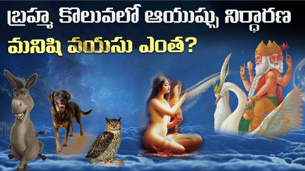 బ్రహ్మదేవుడు మనిషికి 40 ఏళ్లు మాత్రమే ఆయుష్షు ఇచ్చాడు మరి మిగిలిన జీవితకాలం ఎలా జీవిస్తున్నాడు?